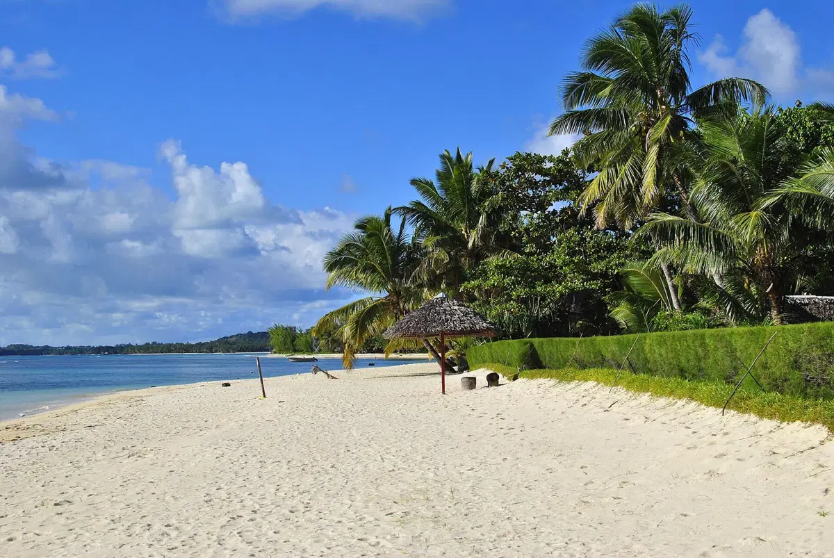 Plage bordée de cocotiers sur l'île aux Nattes, à Sainte-Marie