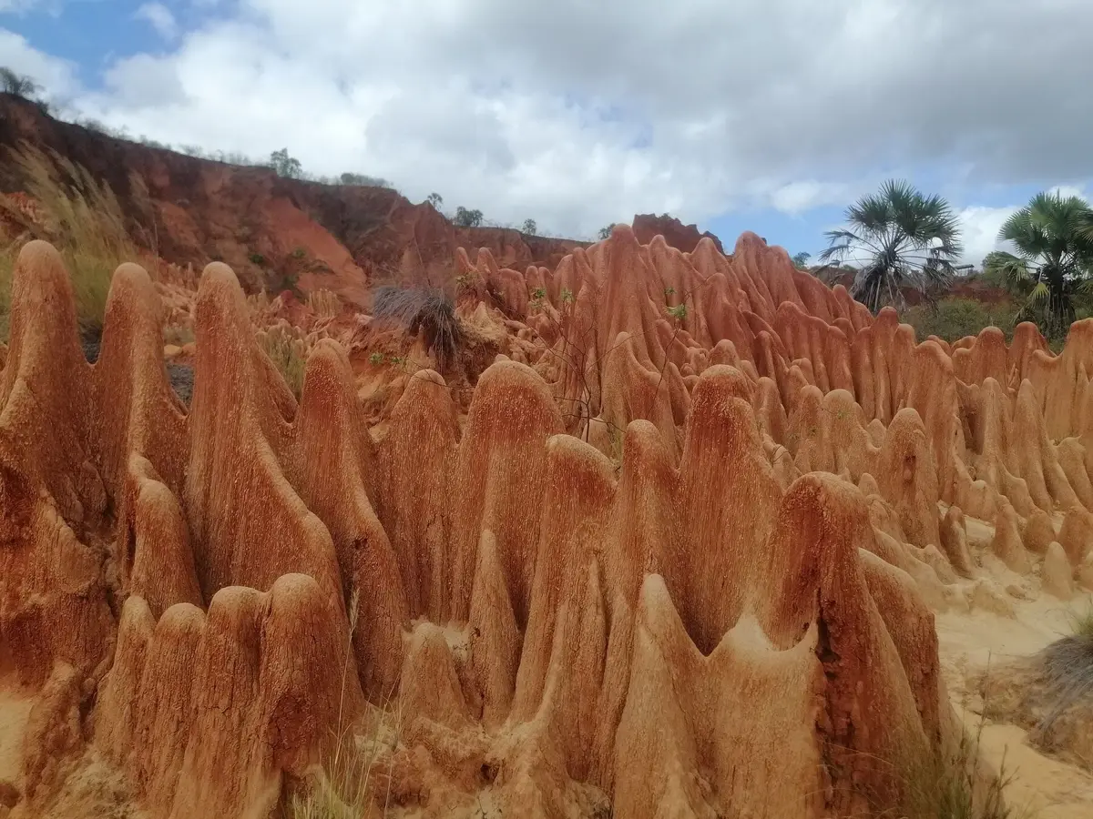 Formations de latérite rouge des Tsingy Rouges, près de Diego Suarez